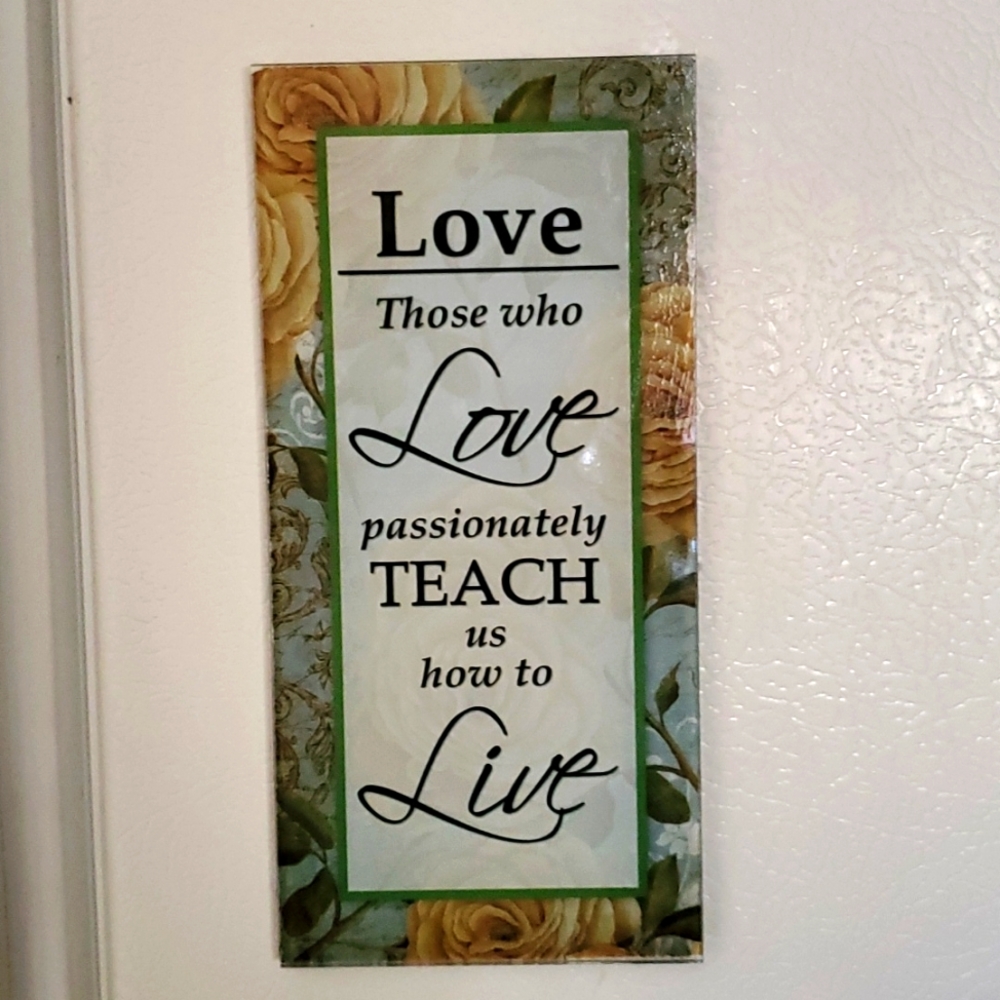 Like new! Fridge magnet